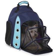 A Heart That Loves Is Always Young Many Styles Of Sunglasses For Less I Need This Hunderucksack Hunde Trager Hund Fahrrad