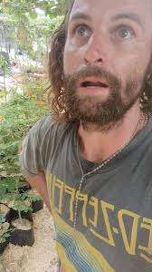 Cobertura de suelo para evitar el calor extremo en las raíces, habrá menos  plagas, y principalmente tendremos un gran ahorro de agua. , Tenemos bolsas  de viruta de madera en $50, 25 litros, y corteza ...