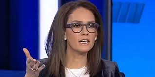 Fox News Host Criticizes DEI Blame on LA Wildfires