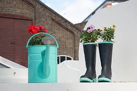 Sep 16, 2021 · it enables us to choose only the freshest flowers available each morning at the markets, and give you beautiful yet affordable flowers delivered in brisbane. Page 58 Royalty Free Potted Plants Outdoors Photos Free Download Piqsels