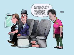 These animal print wall stencils can also be used as floor stencils, as seen in its pictures. Finding Hope And Grace On The Landing Strip By John P Weiss Personal Growth Medium