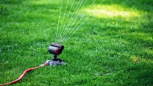 Den Garten Im Sommer Richtig Bewassern Ndr De Ratgeber Garten