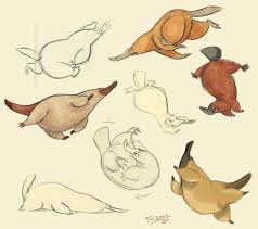 Platypus Sketches By Polarkeet On Deviantart Animal Drawings Animal Sketches Cartoon Drawings Of Animals