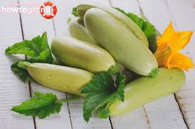 Does zucchini have folic acid. Squashes During Pregnancy The Benefits And Harm
