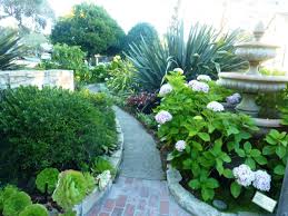 We work to get our customers the best value for their money. Fran Sorin Shares The Beauty Of Carmel A City Filled With Flowers