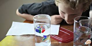 salt water experiment ocean science