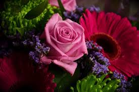 Visit walgreens & find the best birthday greetings to send. 10 Kinds Of Flowers You Can Give Your Wife On Her Birthday