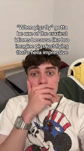 Fried by Fluoride Tutorial When Pigs Fly