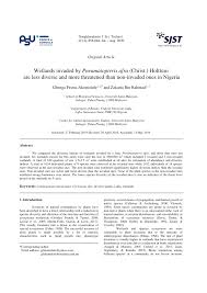 Image result for Pneumatopteris afra