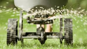 It is recommended to begin shortening your lawn over a span of a few weeks to avoid cutting too much at. Overseeding Guide Lawn Nation