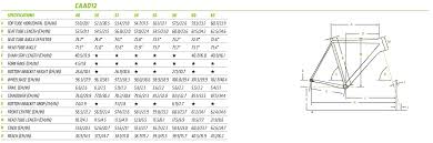 53 Skillful Cannondale Synapse Sizing Chart