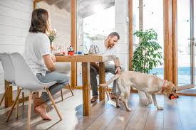 Separated Under One Roof: A Complete Guide (2023) | JJ Lawyers