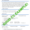In this regard, one page resume can be an excellent option for you. 3