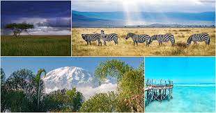 Zanzibar or also called the spice islands are situated of the coast of tanzania. Klimat I Pogoda Tanzanii I Zanzibara Po Mesyacam I Regionam