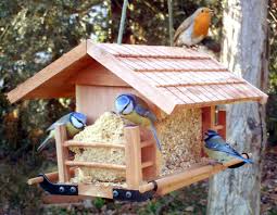 Home » cabane de jardin » construire une cabane a oiseaux. Faire Une Mangeoire Et Un Nichoir Pour Oiseaux