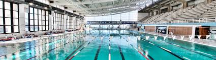Cercle des nageurs de marseille. Sport Les Champions De Natation Se Bousculent Debut Mars Au Cnm