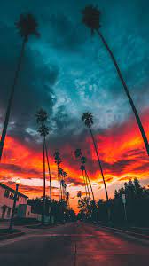 Silhouette Of Tree Landscape City Vertical 1080p Wallpaper Hdwallpaper Desktop Estetika Alam Pemandangan Pemandangan Anime