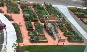 Community Garden Urban