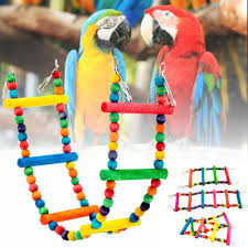 Manche züchter bevorzugen die aufzucht in brutboxen, andere. Vogel Leiter Haustier Holzschaukel Aufstieg Eichhornchen Sittich Wellensittich Papagei Spielzeug Fur Haustiere Gunstig Kaufen Preis Kostenloser Versand Echte Bewertungen Mit Fotos Joom