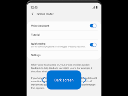 The first choice on the accessibility menu is voice guide, which you can turn off. How Do You Turn Off Blind Mode