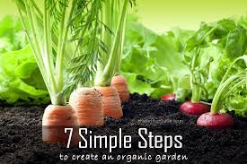 When planting a garden, the best way is to initially start with seeds. 7 Simple Steps To Create An Organic Garden The Thrifty Couple