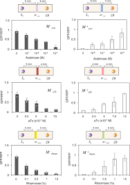 High school, college/university, master's or phd, and we will assign you a writer who can satisfactorily meet your professor's expectations. 2d Printed Multicellular Devices Performing Digital And Analogue Computation Nature Communications