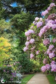Hare Hill Gardens Joe Wainwright Photography Summer Flowers Garden Woodland Garden Garden On A Hill