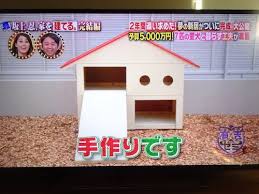 See full list on cherry0704.com å‚ä¸Šå¿ å®¶ã‚'å»ºã¦ã‚‹ å®Œçµç·¨ æ–°å±…ãŒå®Œæˆ å®Œå…¨å…¬é–‹ Hocolife