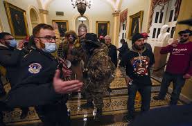 Donald trump heizt seine anhänger mit seinen behauptungen zu. J31yiytishlvxm