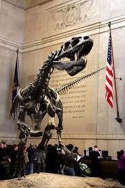 Pin By Maru Orezziio On N Y N Y Brooklyn Too New York Travel New York City History Museum