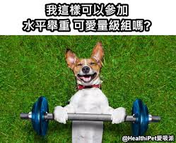 Nippon express co., ltd.）は、日本に本社を置く総合物流事業者である。日本における業界最大手で、災害対策基本法における指定公共機関。通称は、日通（にっつう）、nippon expressなど。 20å¼µè¶…å¥½ç¬' æ±äº¬å¥§é‹ æ¢—åœ– å¿«ä¾†çœ‹çœ‹ç¶²å‹å€'çš„æžç¬'å‰µä½œ