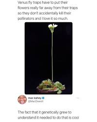 The venus flytrap (dionaea muscipula) is a carnivorous plant native to subtropical wetlands on the east coast of the united states in north carolina and south carolina. Science Memes Science Memes Added A New Photo