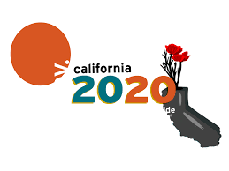 California Election 2020 Voter Guide Calmatters