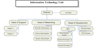 the organizational chart of it unit