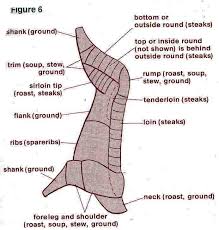 Elk Meat Cutting Chart Start My Hunt