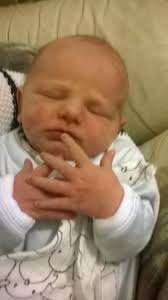 Malcolm Thomas (@ffermwr)