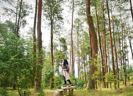 Jadi jalan lurus saja hingga menemukan gerbang masuk yang . Mengenal Lebih Dekat Desa Wisata Jumprit Yang Bersejarah Di Temanggung