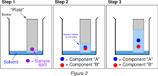 Pdf Paper Chromatography Separation And Identification Of Five Metal Cations Semantic Scholar