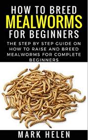 How To Breed Mealworms For Beginners The Step By Step Guide