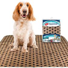 Get the most for your money. The Best Puppy Potty Training Pads Of 2021 Pet Life Today