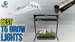 Fluorescent tubes are exactly the same as cfl (compact fluorescent lights) but they have been around way longer. 10 Best T5 Grow Lights 2017 Youtube
