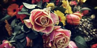 جميلة جدا من الكلمات والعبارات الجميلة جدا والمعبرة عن أشياء كثيرة مكتوبة علي صور سادة لسهولة الأستخدام علي وسائل التواصل الأجتماعي مثل الفيس بوك وتويتر وانستقرام والواتس اب وغيرهم من مواقع التواصل الأجتماعي , اتمني ان تنال اعجابكم الكلمات. 7 Ù…Ù† Ù…Ø®ØªØ§Ø±Ø§Øª Ø§Ù„ÙƒÙ„Ø§Ù… Ø¹Ù† Ø§Ù„ÙˆØ±Ø¯