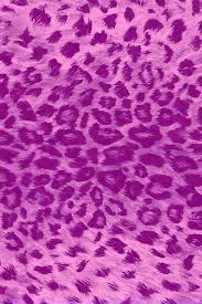 Cheetah desktop wallpapers, hd backgrounds. Purple Cheetah Wallpapers Group 29