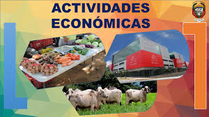 ¿cuales son las debilidades del sector agrícola venezolano? Actividades Economicas