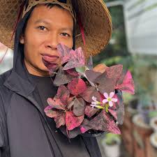 They look great today !