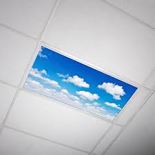 They offer an easy to use solution for all fluorescent lighting cover needs. Octo Lights Fluorescent Light Covers Flexible Ceiling Light Diffuser Panels Decorative Clouds For Classrooms And Offices 011 Wayfair Ca
