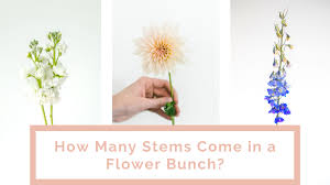 Pay us a visit at our flower shop in. How Many Stems Come In A Flower Bunch
