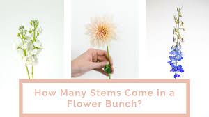 Maybe you would like to learn more about one of these? How Many Stems Come In A Flower Bunch
