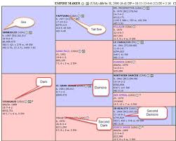 Pedigree Handicapping 101