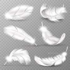 Realistic White Feathers White Feather Tattoos Feather Drawing Small Feather Tattoo